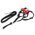 thumbnail image 4 of Gilet pour Animal de Compagnie Qui Marche, Harnais pour Animal de Compagnie Type Gilet pour Chat Harnais pour Chat avec Laisse Laisse Ajustable Sangle pour Animal de Compagnie pour Gilet pour Chat pour Harnais pour Animal de Compagnie Grille Noire, Grille Rouge, Rouge, 4 of 8