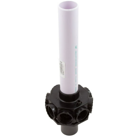 <p>Raypak 018217F Standpipe Assembly for Protege RPSF16</p>