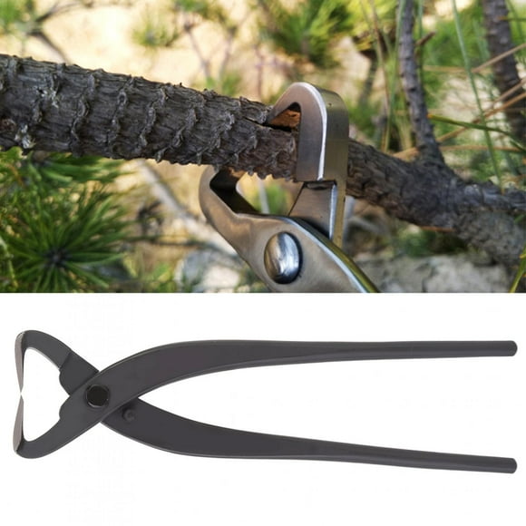 Outil de modélisation - Ciseaux de séparateur de Coffre en Acier de qualité Outils de modélisation de bonsaï débutant 210mm