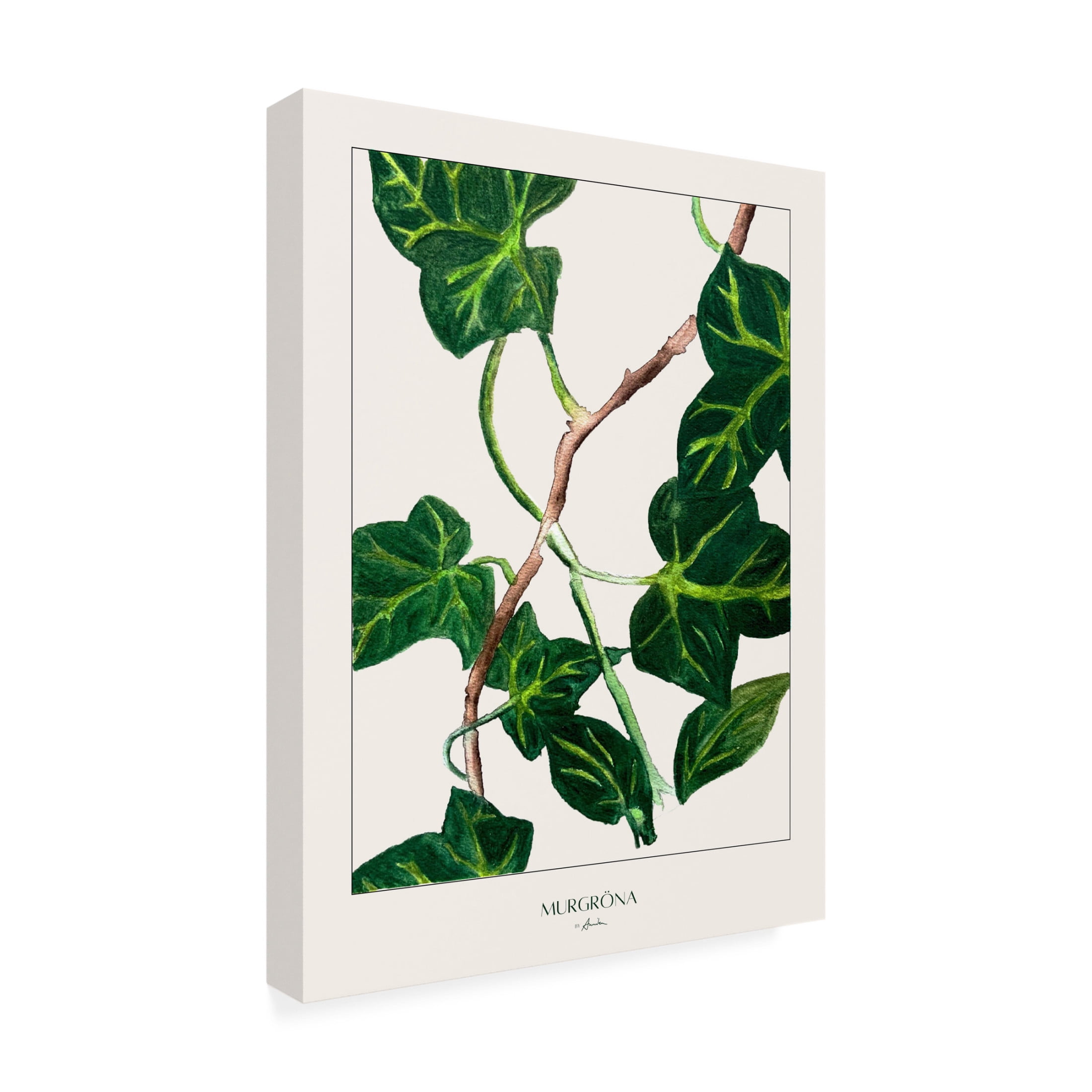 Trademark Fine Art Annika John  MurgrApna Canvas Wall Art