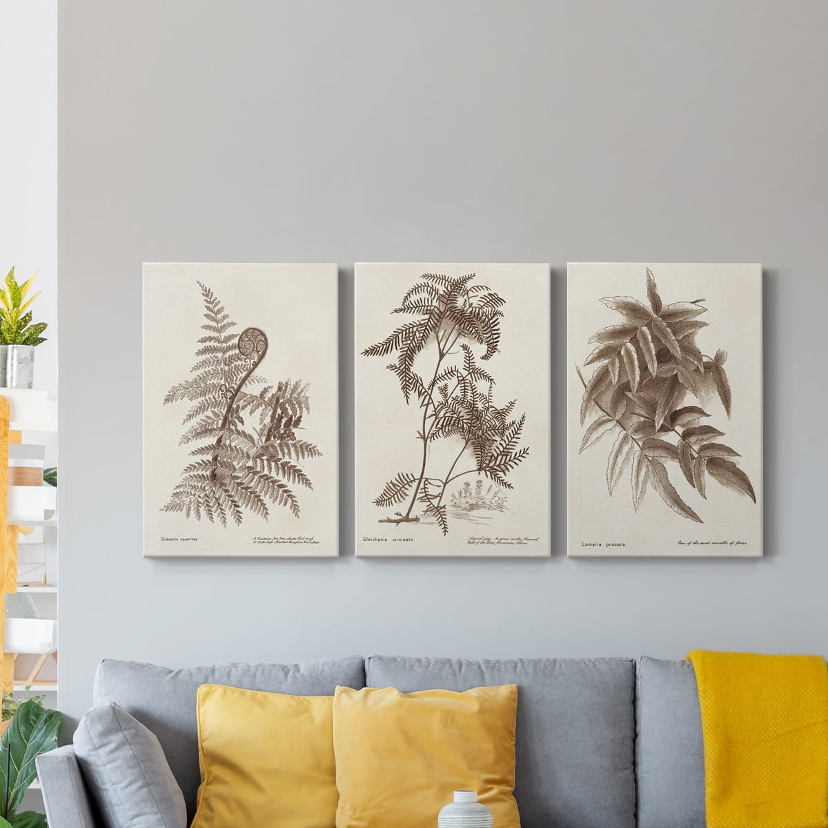 Sepia Fern Varieties I Premium Gallery Wrapped Canvas - Ready to Hang - 24 x 36 Each