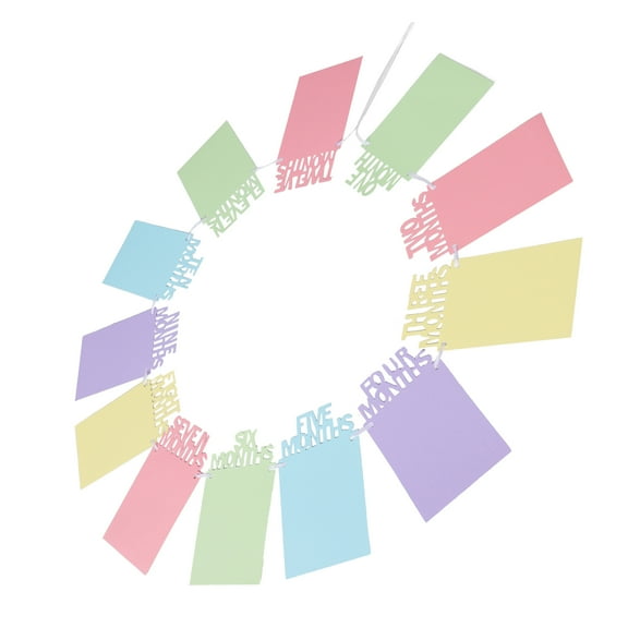 1 Set of 1st Birthday Photo Banner for Newborn Baby Birthday Decorations