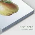 thumbnail image 3 of Vintage Pear Illustration II Premium Gallery Wrapped Canvas - Ready to Hang - 18 x 27, 3 of 9