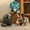 Gray-11.8in, variant on Cute Triceratops Plush, Dinosaur Stuffed Animal, Gifts for Kids, Cuddlekins 11.8"