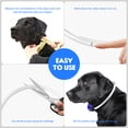 thumbnail image 3 of LED Dog Collar USB Rechargeable Glowing, Pet Collars Lighted Up Safety Necklace Glow in the Dark for You & Your Dogs (Blue), 3 of 7