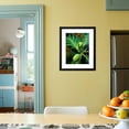 thumbnail image 4 of Breadfruit tree on Jamaica, Botanical Scenic Framed Art Print Wall Art by Rainer Hackenberg Sold by Art.Com, 4 of 5