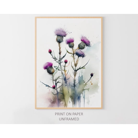 Thistle : Scottish Wildflower Art Poster, Unframed Poster Size 8x12