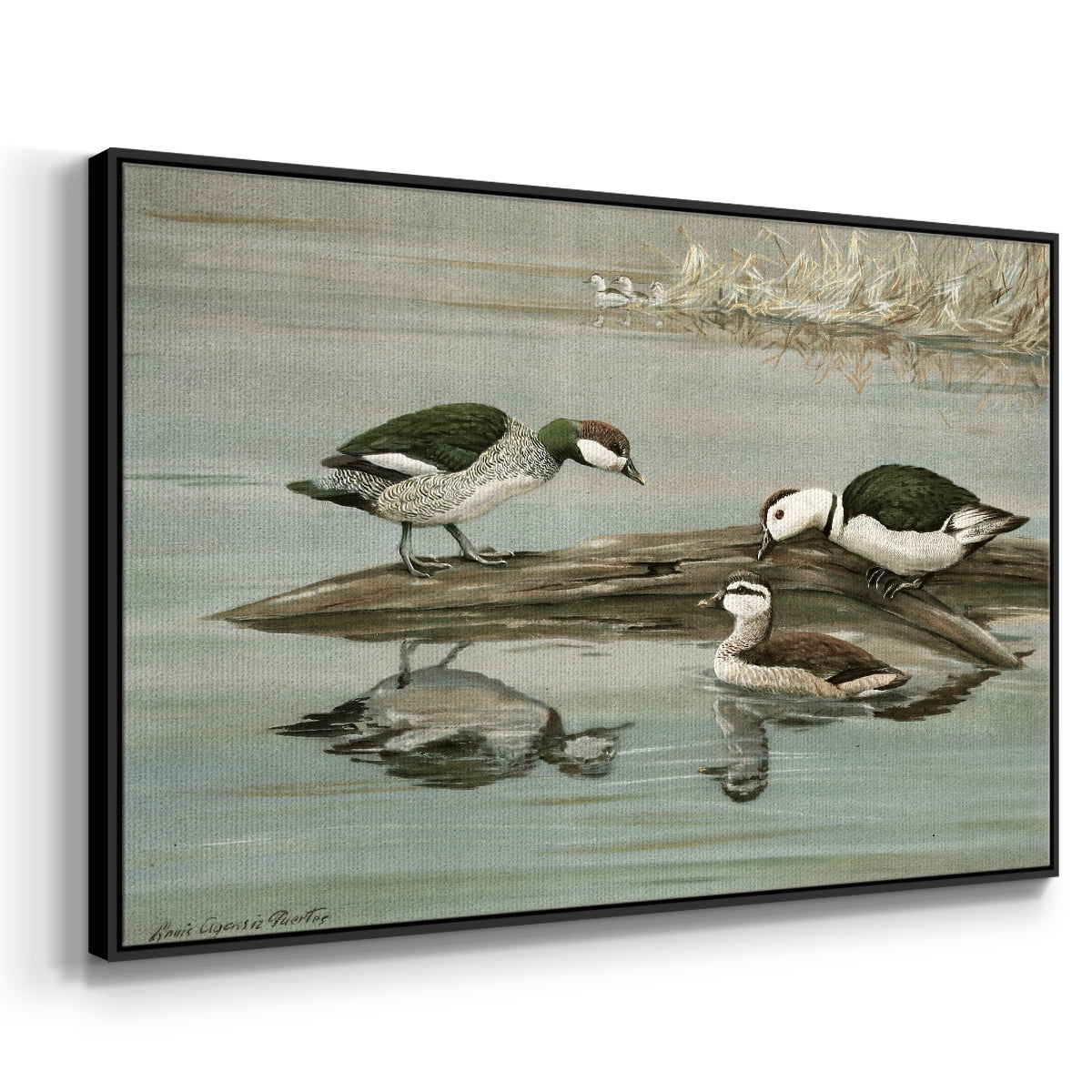 Vintage Animal Print-XIX By Wexford Home Framed in Black Wood Gallery Wrapped Canvas 27 in. x 41 in.