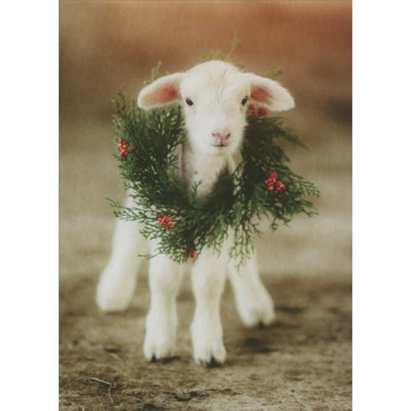 RSVP Lamb Wearing Wreath Around Neck Photograph Christmas Card