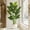1-7ft 5in, variant on Artificial Bird Of Paradise Plant 5ft Tall Tropical Palm Tree With 10 Silk Banana Leaves
