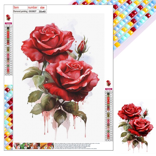 Kit Con Cuentas Cuadradas 5D DIY Del 30x40cm