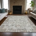 thumbnail image 5 of Dalyn Rugs Machine Washable Indoor/Outdoor Chantille ACN2099 Taupe 8' x 10' Rug, 5 of 9