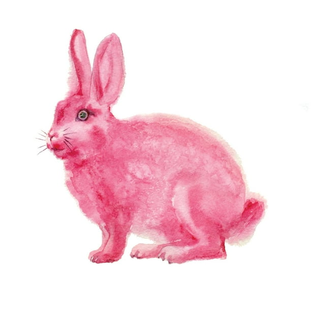 Cute Pink Bunny Rabbit Baby Animal Watercolor Picture Art Mural Custom Wall Decal Vinyl Sticker 15 Inches X Inches Walmart Com Walmart Com