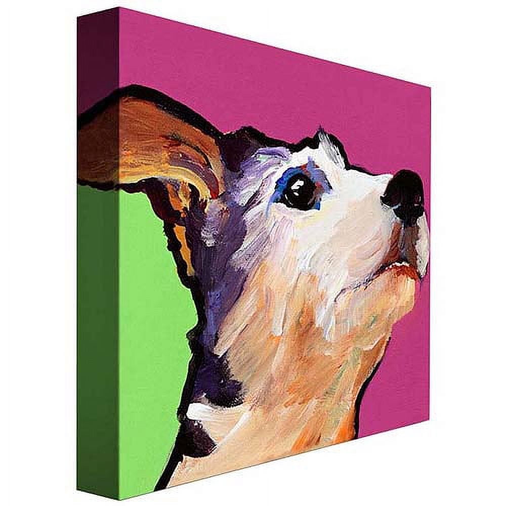 Trademark Art "Ollie" Canvas Wall Art by Pat Saunders-White