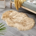 thumbnail image 1 of EGNMCR Outdoor Rug Bathroom Rugs Rugs for Living Room Popular Carpet, Household Cold Proof And Slip, Irregular Tea Table Floor Mat, Sofa Cushion Shaggy Slip, 1 of 3