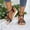 Black, variant on Women Wedge Sandals Breathable Woven Upper Cushioned Platform Women Sandals Boho Beaded Slip On Sandals For Women Summer Beach Shoes Silver US :6
