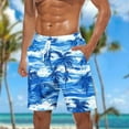 thumbnail image 2 of ZCFZJW Mens Swim Trunks Quick Dry Swimwear Summer Drawstring Elastic Waist Hawaiian Swimming Beach Board Shorts with Pocket Bathing Suits for Men Sky Blue#03 L, 2 of 5