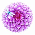 thumbnail image 1 of Spoontiques , Inc Pierre de Pas Dahlia, Multicolore, 1 of 6