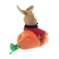 thumbnail image 2 of Way To Celebrate Flopsy Rabbit in Carrot, 2 of 8