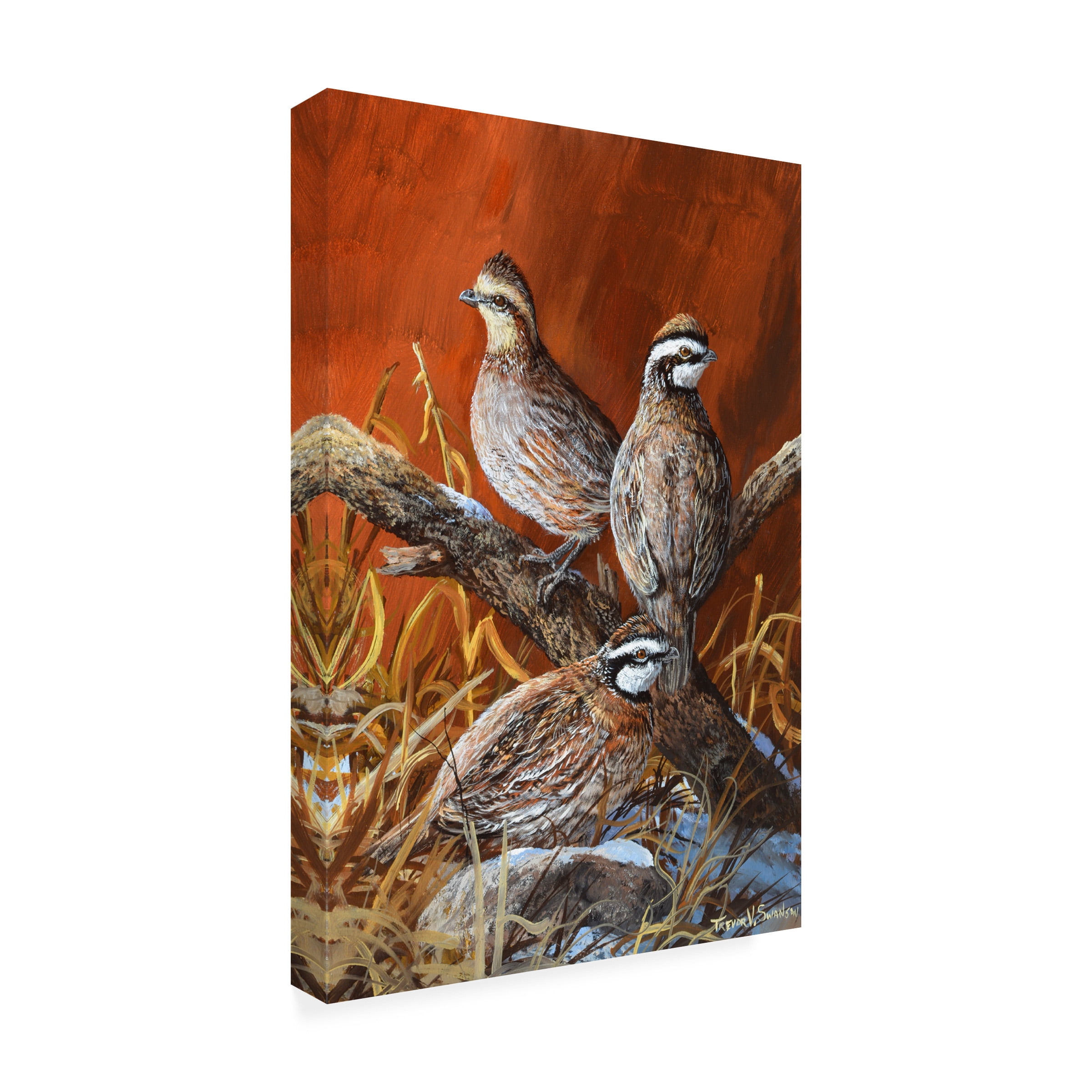 Trevor V. Swanson 'Bobwhite Trio 4' Canvas Art