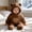 Brown, variant on Gamivast Newborn Baby Fleece Romper Fluffy Cute 3D Animal Ears Hooded Snowsuit with Bear Graphic Patch Footed Winter Warm Jumpsuit Outerwear for Infant Boys Girls 12 Months