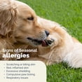 thumbnail image 5 of Vetnique DermaBliss Allergy & Itch Relief Soft Chews for Dogs, Hickory Salmon, 40ct, 5 of 13