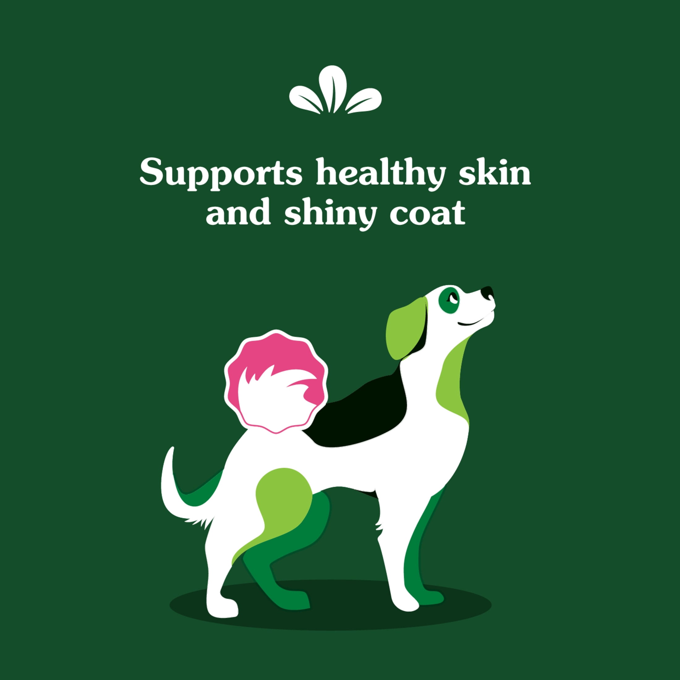 Greenies Dog Skin and Coat Supplements With Fish Oil, Chicken Flavor Soft Dog Chews, 7.37 oz Pouch