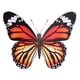 thumbnail image 5 of Adhesivo de pared de mariposa 3D rojo Sincero 40 cm, 5 of 10