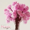 thumbnail image 4 of Cherry Blossom Magic Growing Tree Kit With Base Container And 3-4 Salt Water Packs (30Ml Total) - Grows In 24 Hours, Festive Tabletop Decoration - For Kids, Home, Office, Party,, 4 of 9