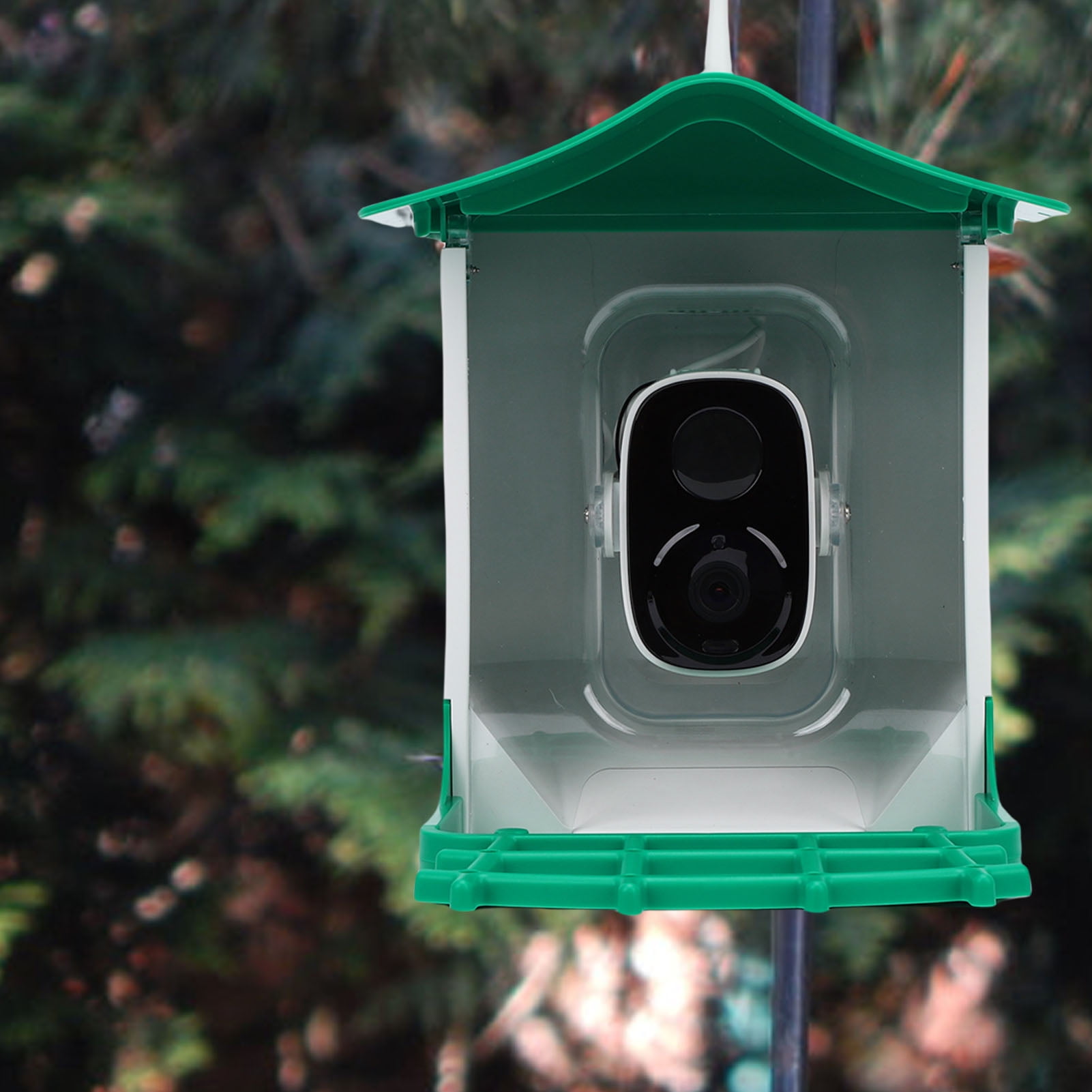 Smart Bird Feeder with Camera Solar Panel HD Video Birds House Weatherproof for Effortless Bird Watching