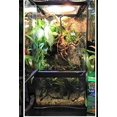 thumbnail image 2 of Zoo Med Paludarium Habitat Kit, 2 of 9