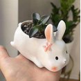 thumbnail image 2 of Lishi Mini Rabbit Desk Ceramic Planter with Saucer - Minimalist Office Window Décor, 2 of 5