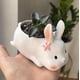 thumbnail image 2 of Mini macetero de cerámica minimalista Rabit con platillo para ventana de escritorio de oficina, 2 of 5