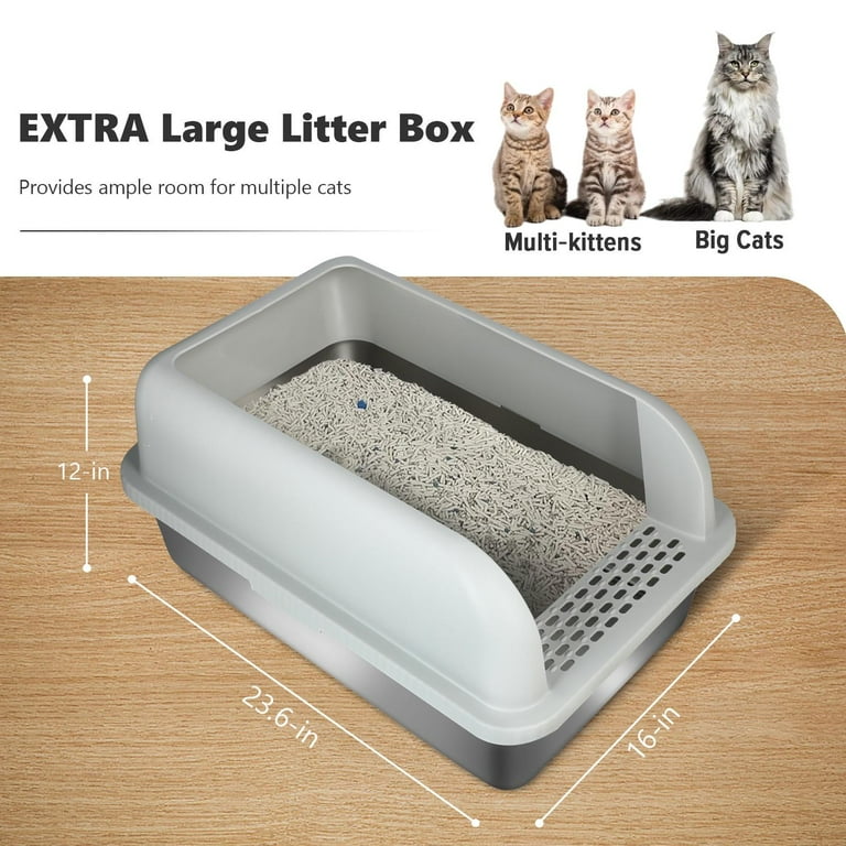 Why Is My Cat Peeing Outside The Litter Box? Vet In, 60 OFF