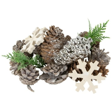 Northlight Pinecones and Snowflakes Christmas Decorations - 6"