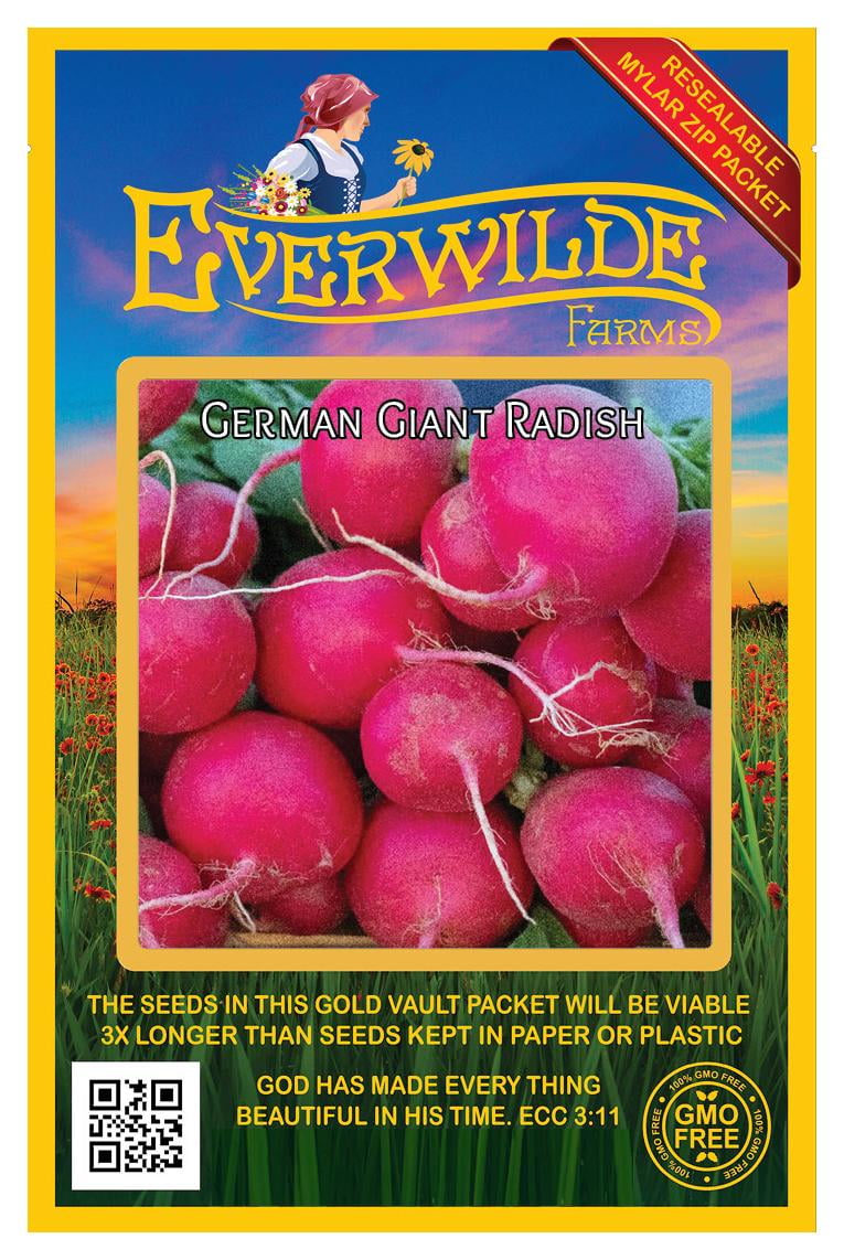 Everwilde Farms 300 German Giant Radish Seeds Gold Vault Jumbo Bulk