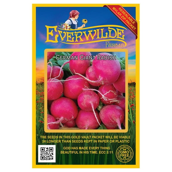 Everwilde Farms - 300 German Giant Radish Seeds - Gold Vault Jumbo Bulk Seed Packet