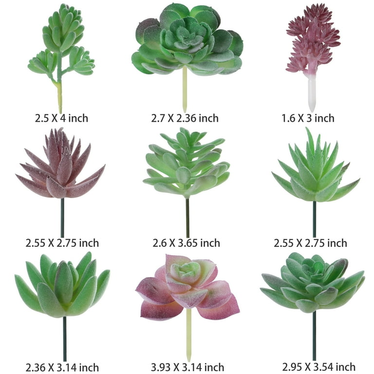 Mini Plastic Succulent Plant Fake Flower Garden Artificial Floral Desert Decor Mini Plastic Succulent Plant Fake Flower Garden Artificial Floral Desert Decor