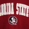 thumbnail image 3 of Youth Colosseum Garnet Florida State Seminoles 2-Hit Team Pullover Hoodie, 3 of 4