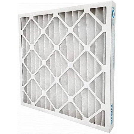 

GLobal One LeCeleBee 20x24x2 Pleated Air Filter MERV 7 (Case of 12)