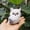 A3554 Fufafayo under $5, variant on Fufafayo under $5 Simulated Owl Toy, Plush Christmas Ornament, Holiday Tree Hanging Decoration, Realistic Animal Figure for Christmas Home Party Decor, Mantelpiece and Tabletop Centerpiece