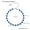 Steel Blue Zircon Bracelet, variant on Titanium Steel Zircon Mixed Color Bracelet Vacuum Electroplating Non-fading Necklace