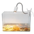 thumbnail image 3 of Lámpara de Calor de Reptil, Luz de Calefacción de Tortuga 220-240V Luz de Calefacción para Tortugas para tortugas de Lagarto Reptiles para Lagartija, 3 of 7