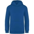 thumbnail image 1 of Native Spirit Boys/Girls Hoodie, 1 of 2