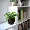 thumbnail image 5 of Ceramic Pot for Plants 5.5 Inch - Ceramic Plant Pot Indoor with Drainage Hole and Saucer, Round  Planter for Indoor Plants Outdoor, Housewarming Gifts, Garden Office Decor, Black, 5 of 14