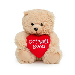 Get Well Gifts for Teen Girls, Get Well Soon Gifts for Teen Girl, Get Well  Soon Gifts for Boys, Snuggle Teddy Bear, Connect With Love 