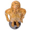 thumbnail image 4 of Human Body Acupuncture Model, Odorless Useful Body Acupuncture Model, For Massage Model Female Model,Male Model, 4 of 8