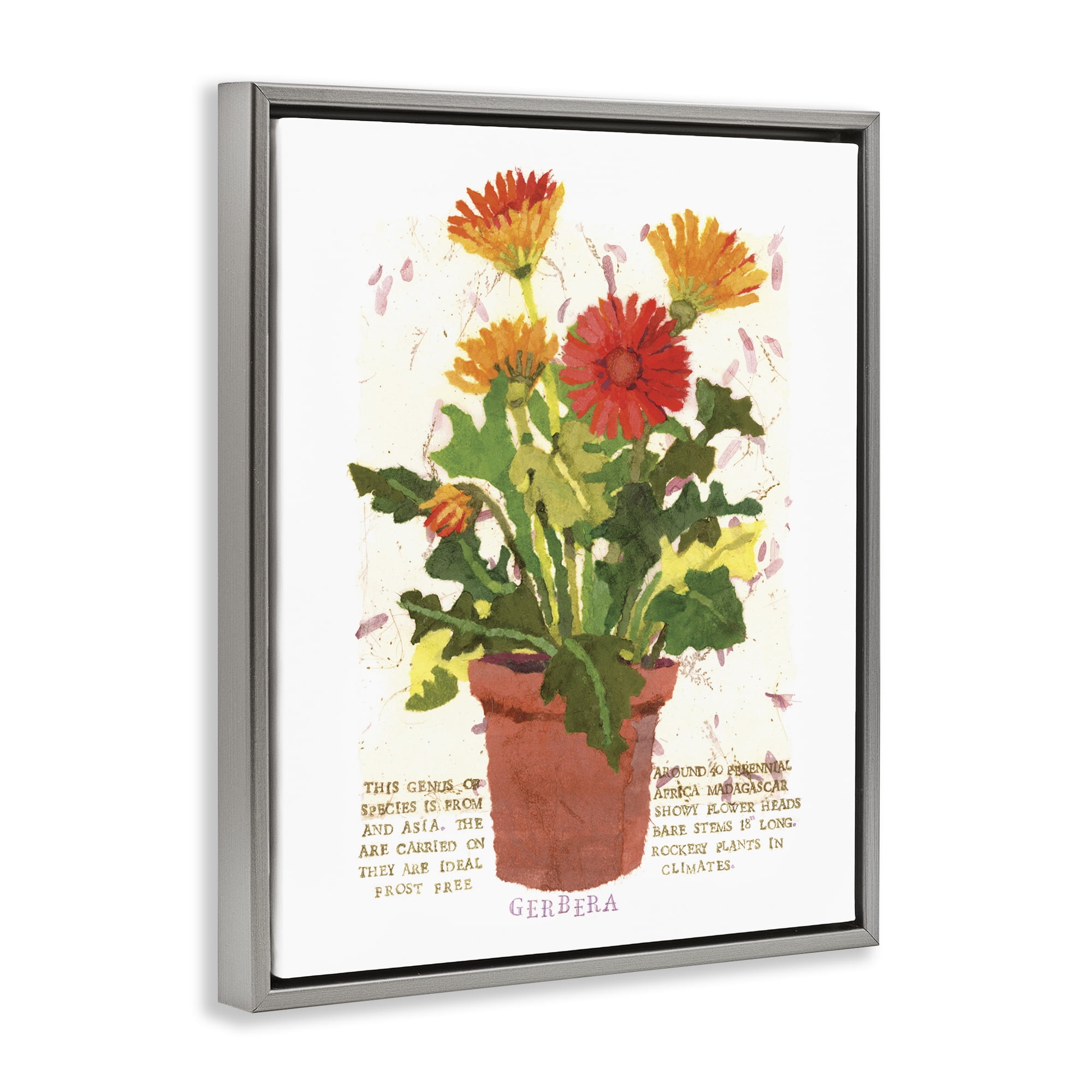 Stupell Industries Potted Gerbera Daisies Botanical & Floral Painting Gray Floater Framed Art Print Wall Art, 17 x 21