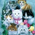 thumbnail image 2 of Kittens Adult T-Shirt 101172, 2 of 2