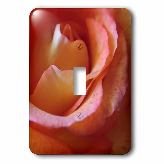 3dRose, Tangerine Roses flower petals closeup micro image, single toggle switch